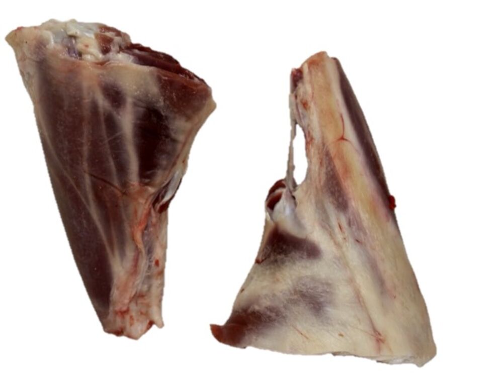 Lammlägg med Ben Sverige